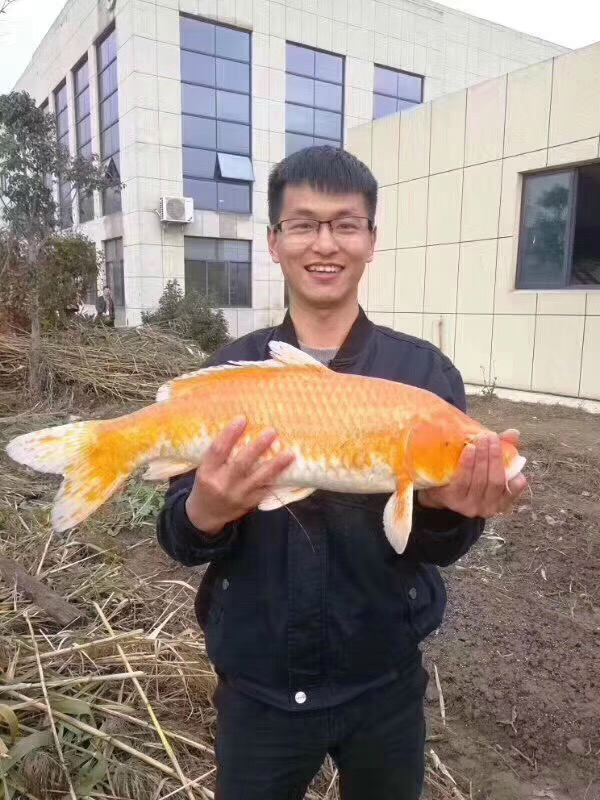 问鼎娱乐app下载锦鲤王_meitu_25.jpg